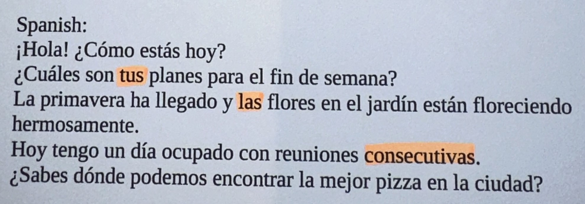 A bookpage in Spanish language with some highlighted words.